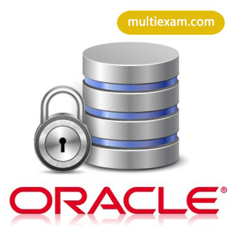 AWS-Certified-Machine-Learning-Specialty Fragen&Antworten
